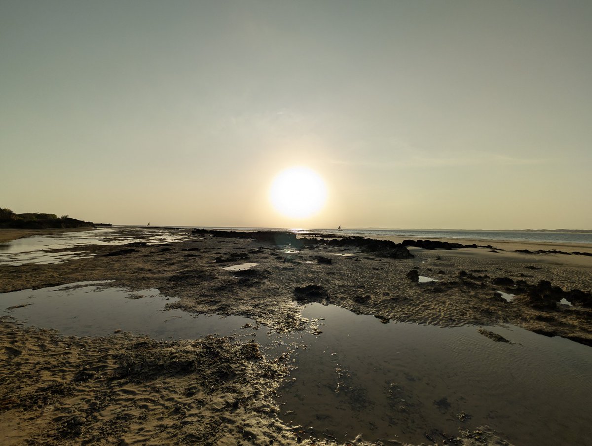 Brainiarc7's tweet image. A day well spent