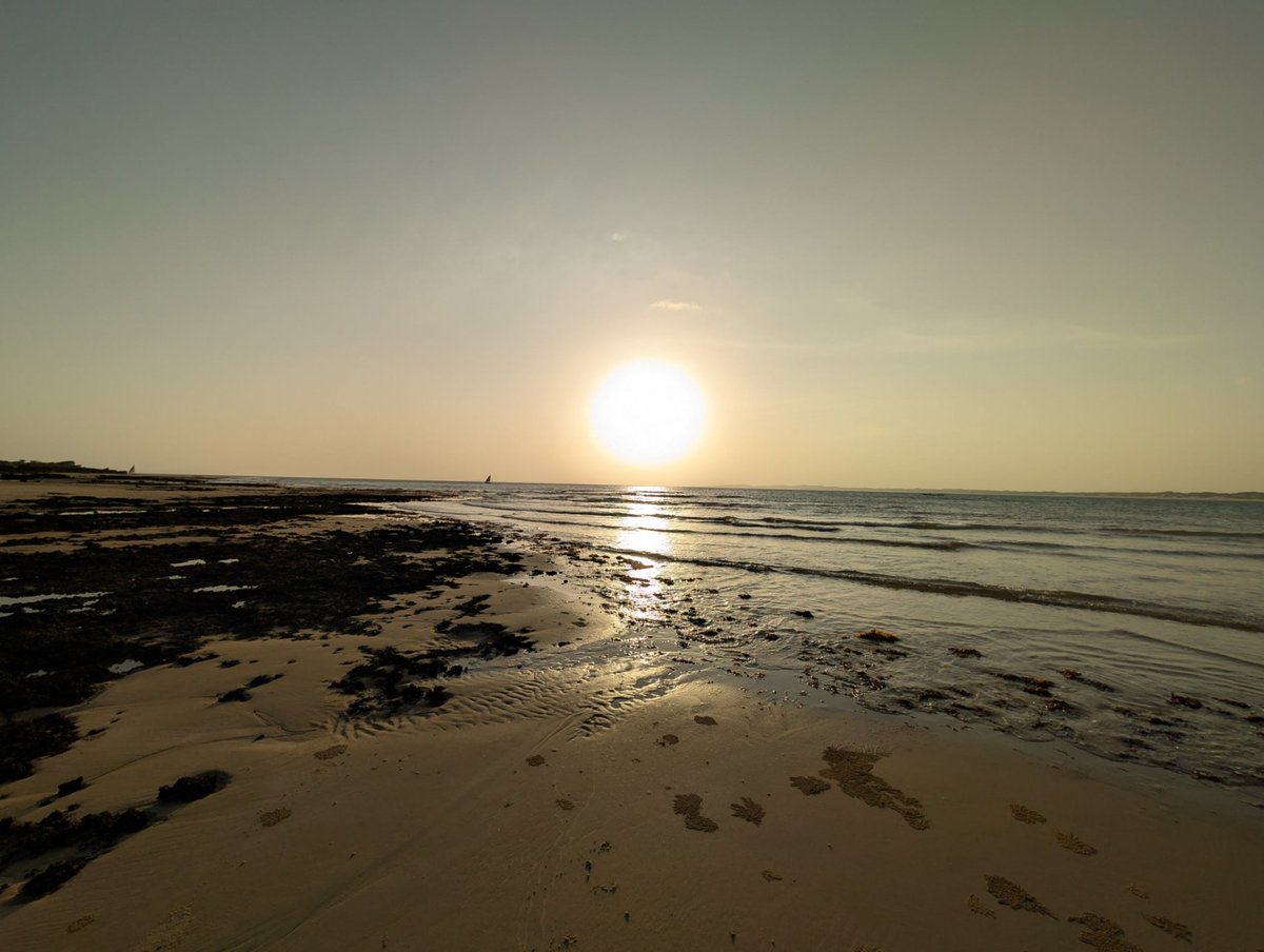 Brainiarc7's tweet image. A day well spent