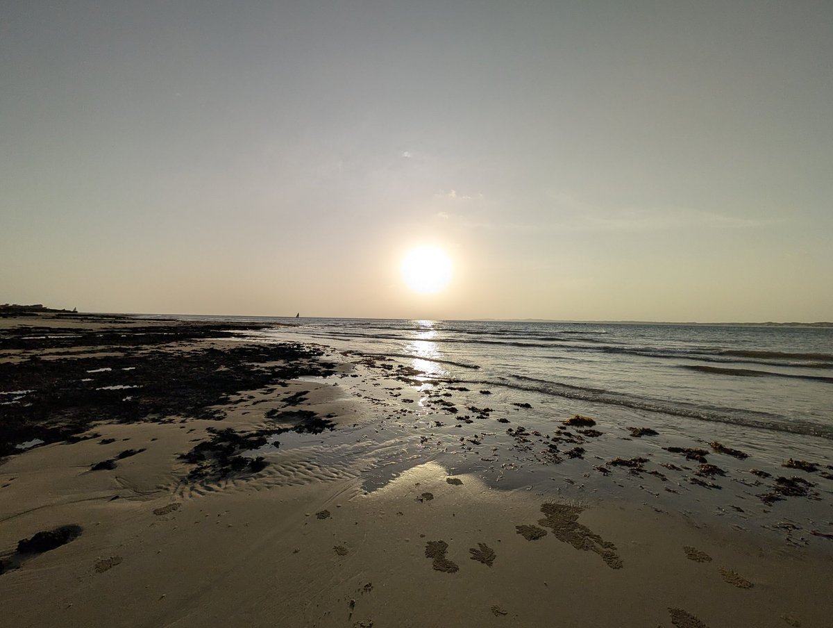 Brainiarc7's tweet image. A day well spent