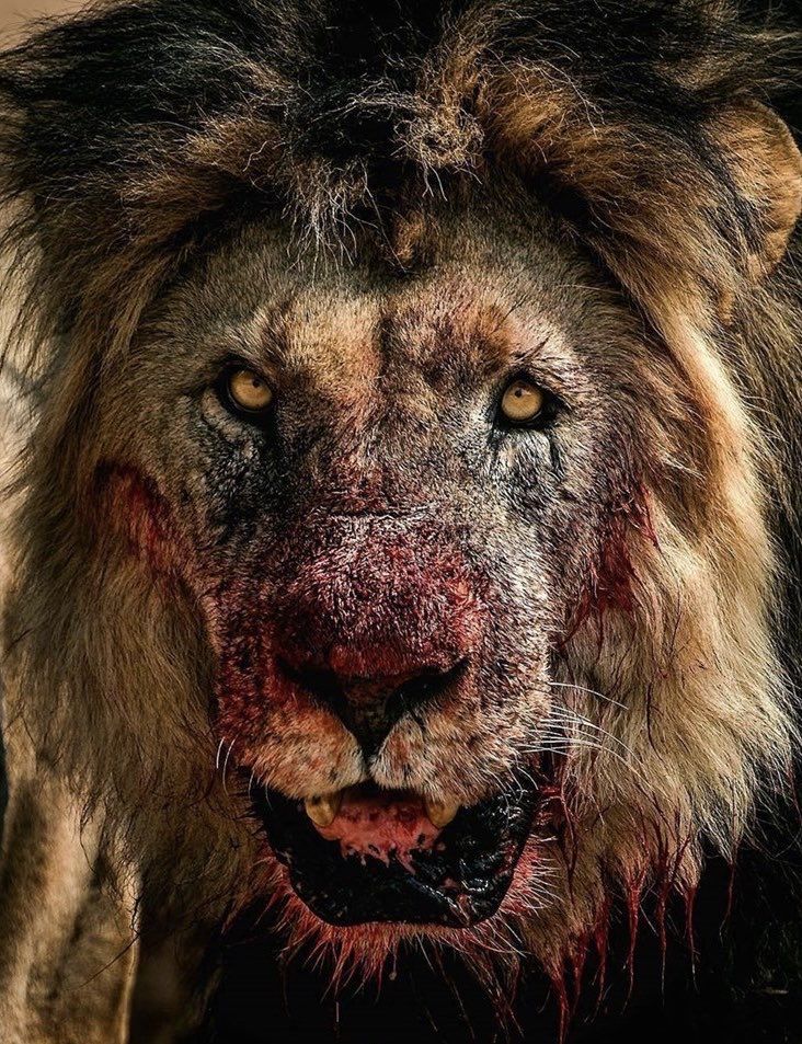 Stan Collymore tweet media