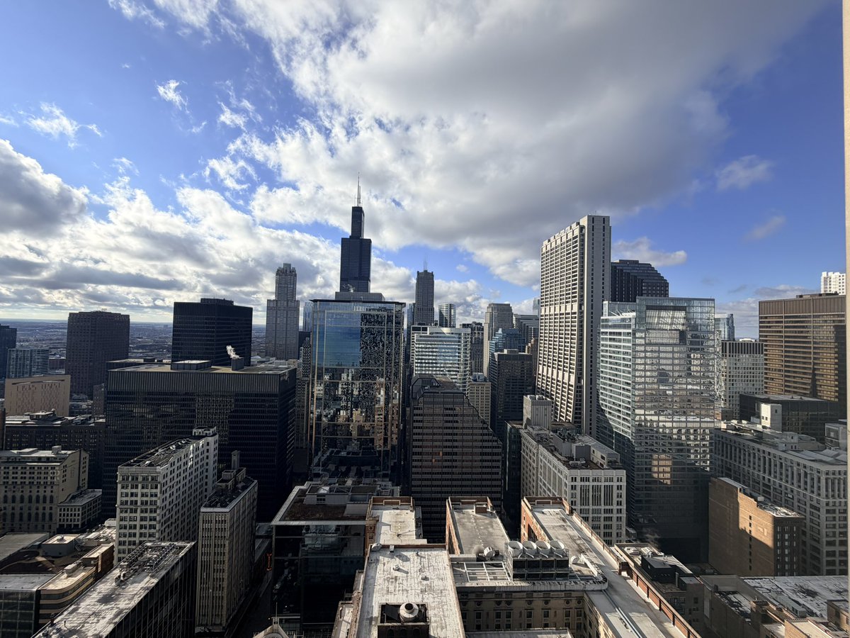 TMY 🐻⬇️ tweet media