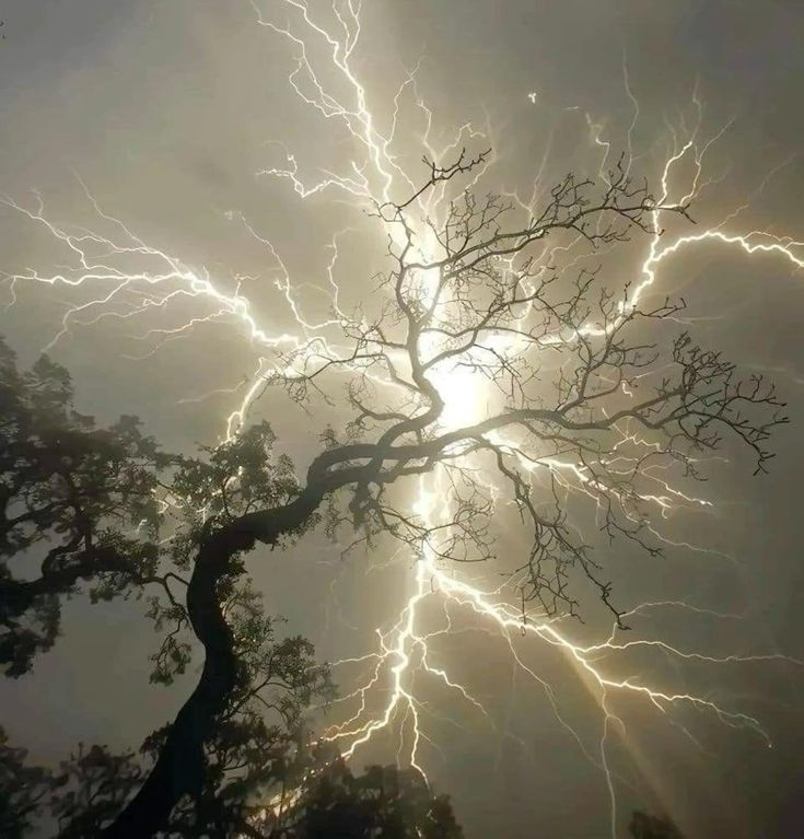 𓍊˖ ࣪⊹ (@goblinc0re) on Twitter photo 