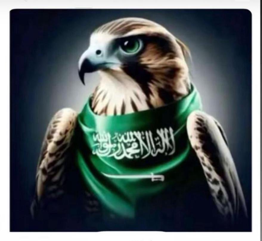 لا تكن محايدًا في حب وطنك 🇸🇦
كن شرسًا 💪🔥
فعندما يكون الوطن هو المستهدف 🎯
فالحياد خيانة ❌
والصمت تواطؤ 🤐⚠️
#Iran #السعودية #اليمن #الامارات