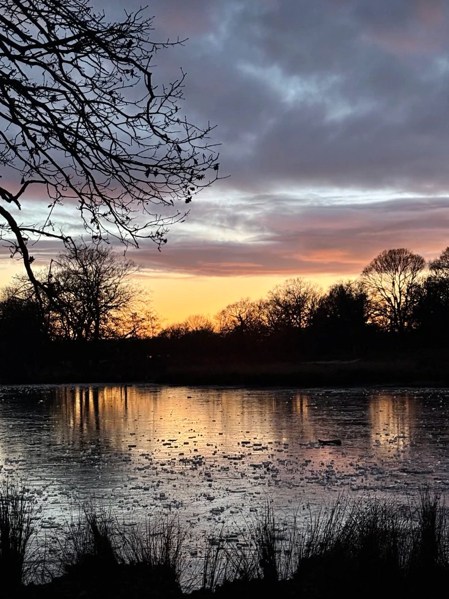 Ketanmashelkar's tweet image. A magical winter sunset. Golden light and a touch of snow between the trees in a London park. A peaceful moment. 🌇❄️ #LondonSunset #Nature