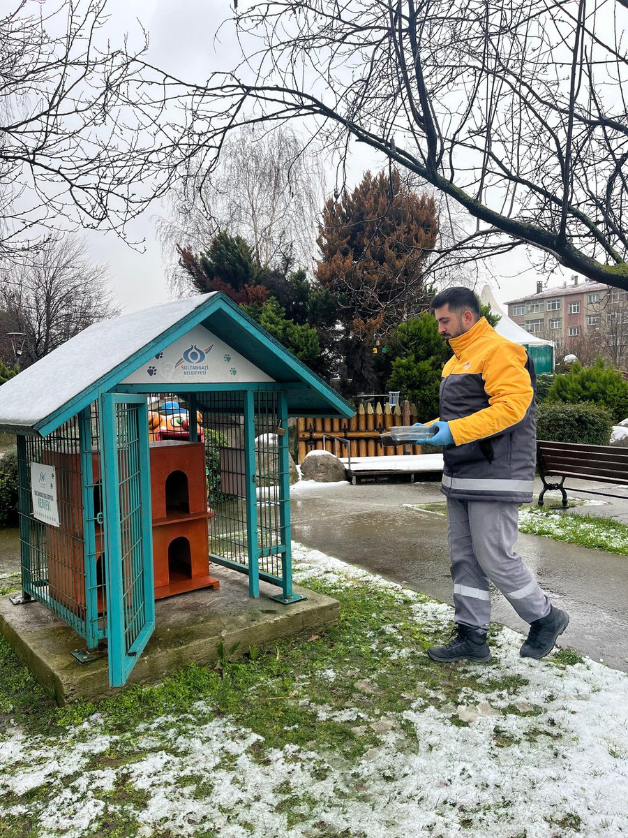 Nilgün basak tweet media