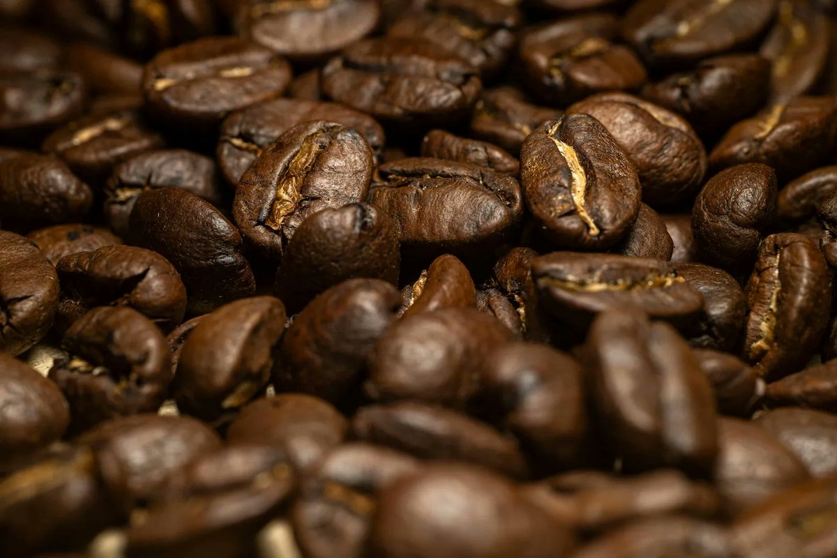 coffeegolfcup's tweet photo. Hullo coffee buddies , are you for Dark roast or medium roast. Which one hits you hardest? #Coffee #CoffeeLover #Drinkcoffee #coffeegolfcup https://t.co/yKAdiwTvNf