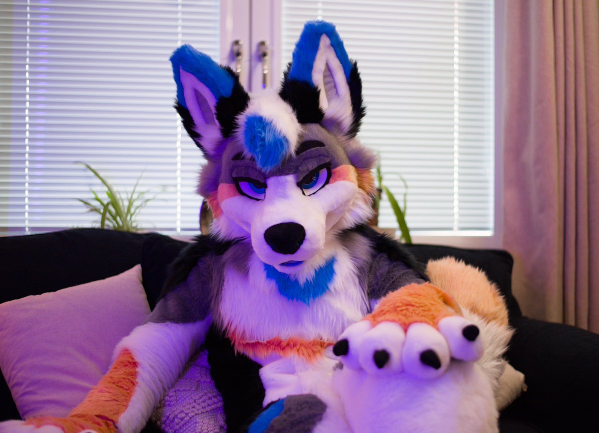 Take a seat, young yote appreciator