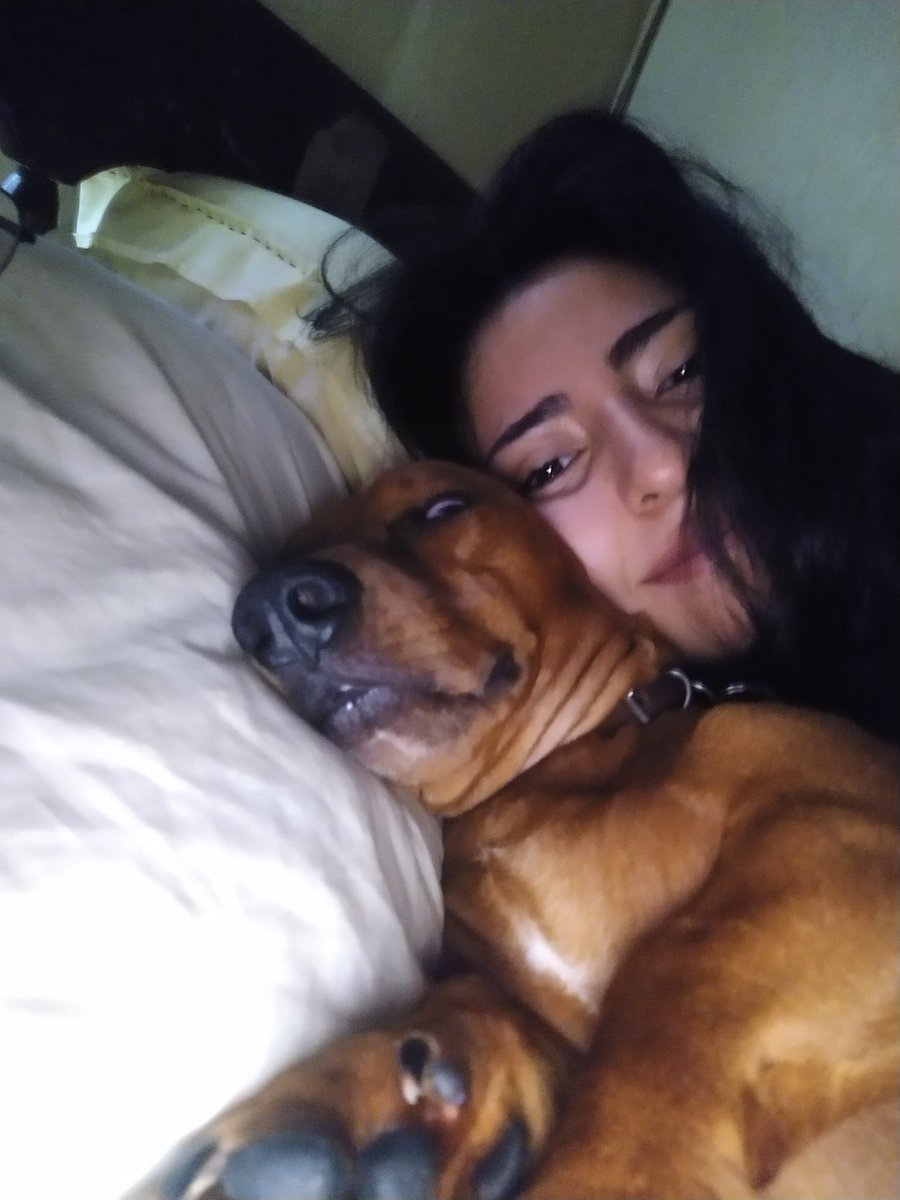 schul_zi's tweet image. jajsjaksj 

te amo boster