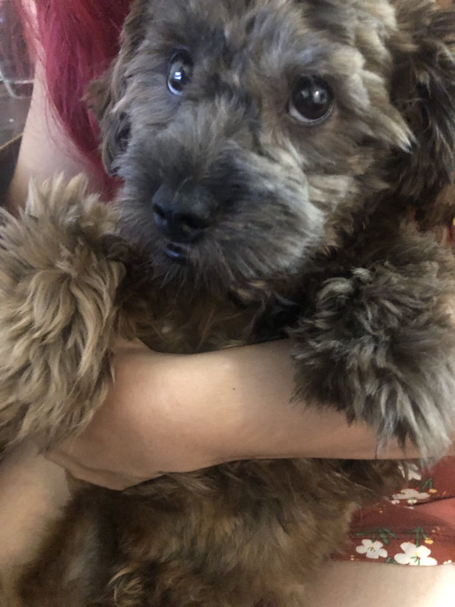 🥹 thank you for all the dms, get well soon and prayers 🙏 i am home and now slowly firing up all burners for cookin the best sauce this 2026! 🐾
Thank you Lord!! 🙌