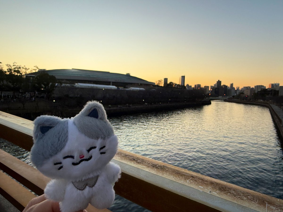 大阪幸せだった!
毎公演、全員がヘアスタイルもアンコール時のサプライズ可愛い小物も歌のアレンジもフリースタイルダンスも変えてくるし、トークや曲紹介担当メンバーはその場のノリで自由に脱線して大盛り上がりだし、歌とダンスが最強で、可愛すぎる顔に毎回新鮮に驚く。次が最後だ😌ｵﾜﾗﾅｲﾃﾞ