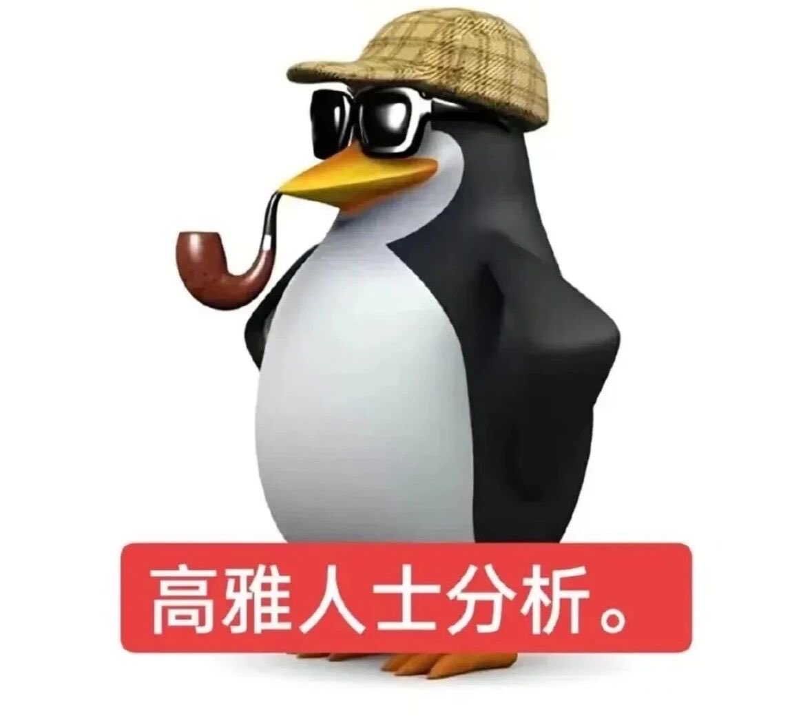 润哥🐱 tweet media