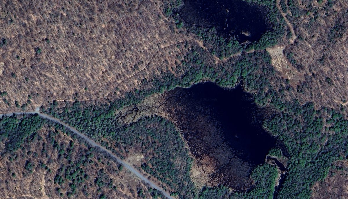 EdBurkeToga's tweet image. Google has updated imagery in parts of the #Adirondacks taken in April 2025 before trees leafed out. These images could be  valuable in #SearchRescue and #firefighting those areas. Here’s an example from Saratoga County showing trail S83 in Edinburg better than I've ever seen it.
