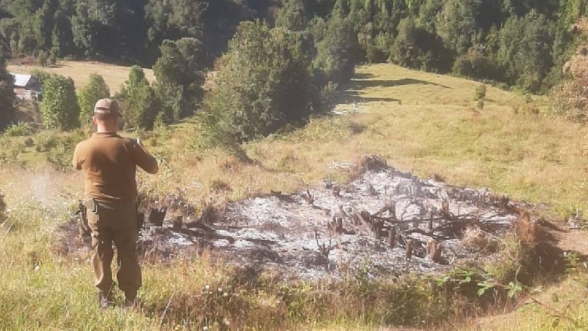 Dos hombres fueron detenidos por encender fogata en Parque Nacional Alerce Andino 
tinyurl.com/4m3wmj8b #Cooperativa90