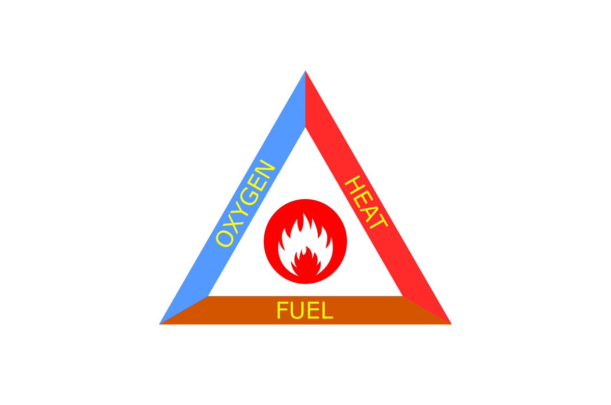 The 2 most important skills to teach family members who venture into the wilderness:  #1; Lighting a fire. A fire needs three things in order to occur (or continue). Take away any one of them and the fire goes out. The most basic principle is "Start small". Get a small ball of