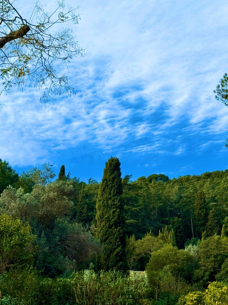 sofialopppez's tweet image. 🌲🌱💚✨