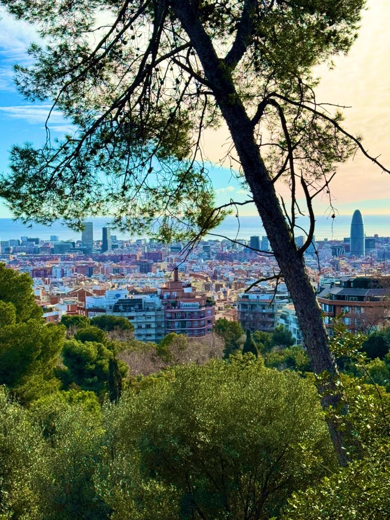 sofialopppez's tweet image. 🌲🌱💚✨