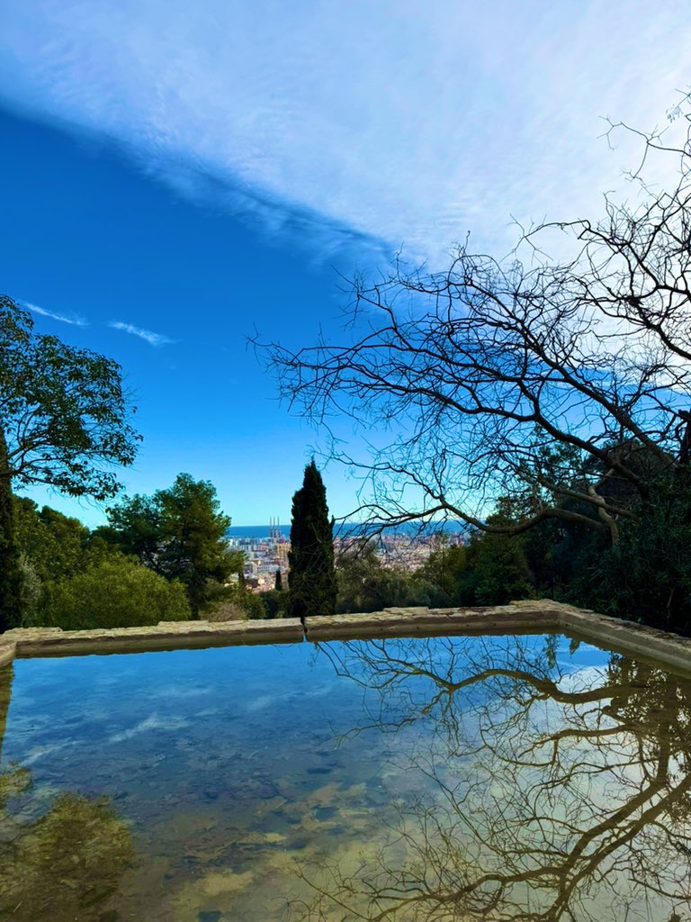 sofialopppez's tweet image. 🌲🌱💚✨