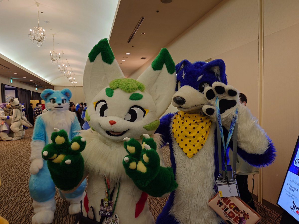 茶々丸 (@chachamaru_reef) / Posts / X