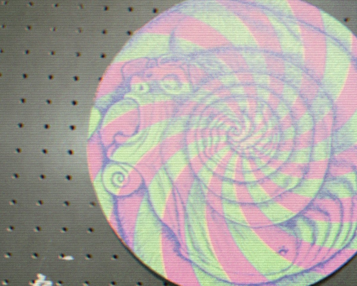 Small__forest's tweet image. ♡