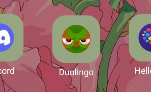 jir bisa marah dia cuk