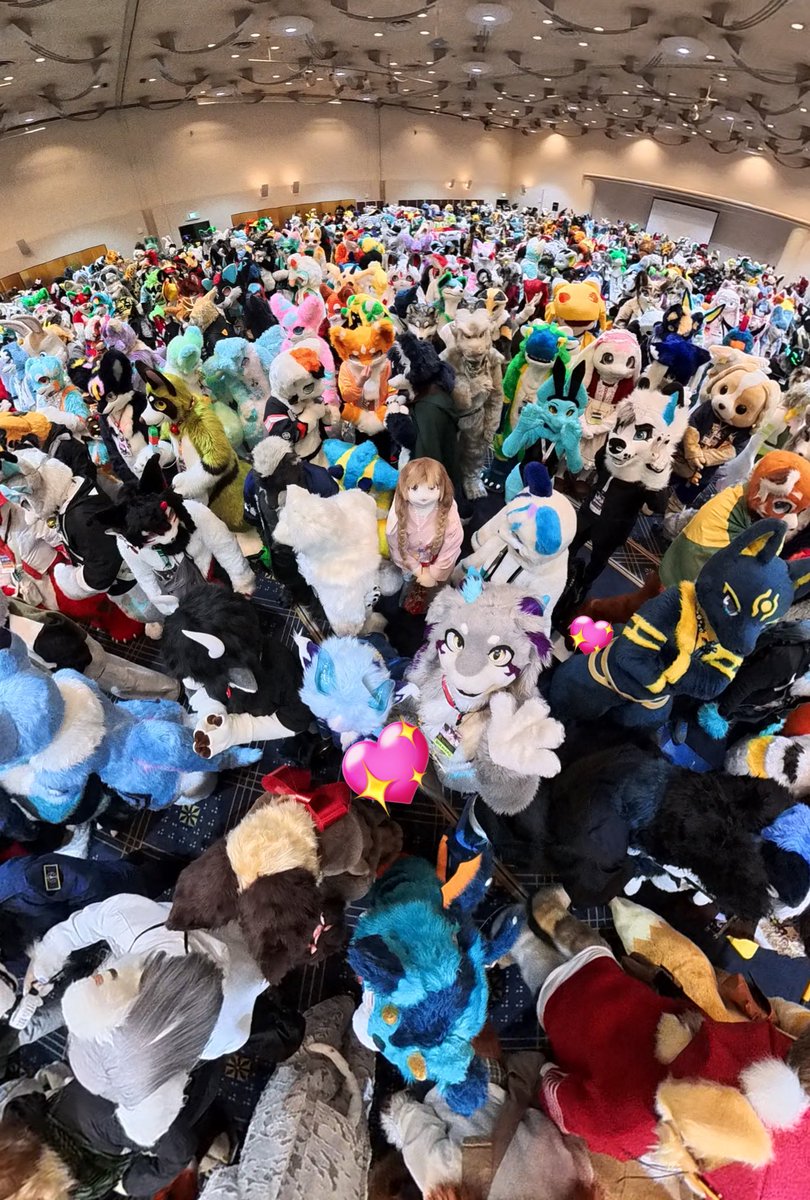 AlbaEizin's tweet photo. 最終日も楽しんでいこう💞
#JMoF2026 https://t.co/Tip6RQTWsu