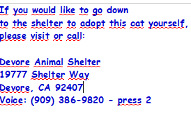 lordi1960's tweet image. facebook.com/photo?fbid=129…
TIKA -- ID# A835433

TEMPERAMENT: RESCUE ONLY; POSSIBLY PREGNANT

I am a female black and white Domestic Shorthair.

The shelter staff think I am about 1 year and 5 months old.

I have been at the shelter since January 08, 2026.

I will be available for