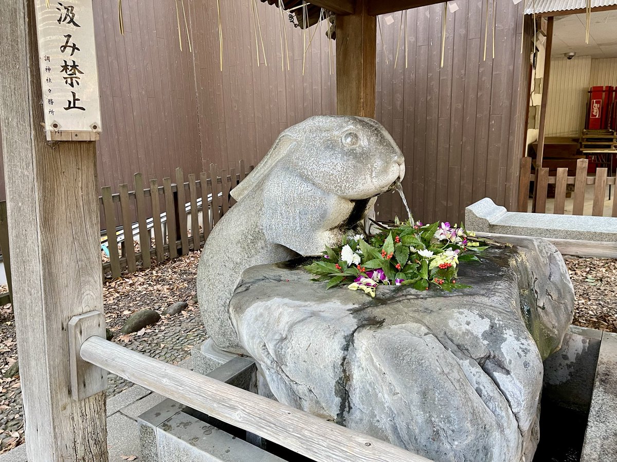 tsubacon's tweet image. 調神社の手水🐰かわいいお口から清らかなるお水がっ

お花で華やかに飾られていて素敵です。

柄杓がないスタイルなので、うさぎさんに脳を焼かれている民は「いいんですかっ？ありがとうございます！ありがとうございます！」となりながら浄化される仕組みです。