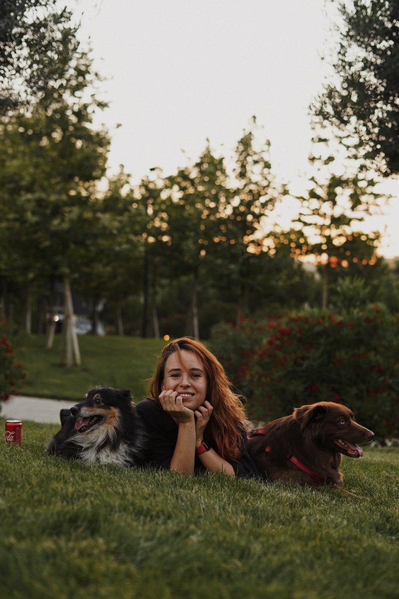 кароч. я и мое хвостатое семейство ищет хату в Тбилиси. 
прикол в чем: мне надо максимально близко к парку Мзиури и район Ваке (это еще не прикол, ща). 

ищу большую и убитенькую хату, которой нужен косметический ремонт, которая зато сдается не дороже $500. 
я ее там подшаманю