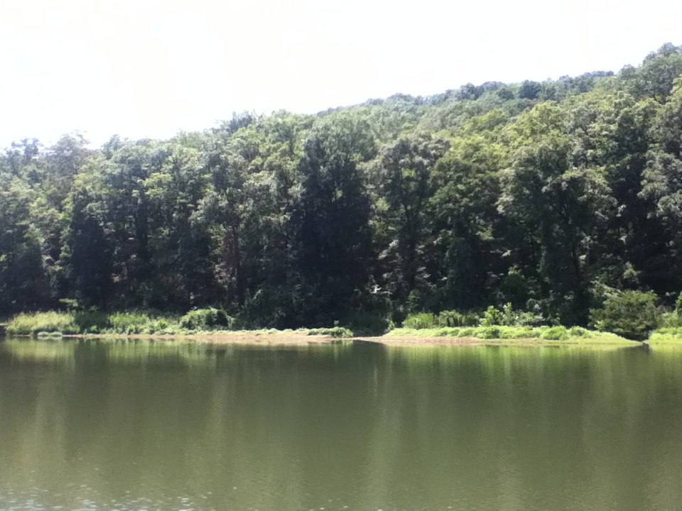 FallApollo's tweet image. Waiting for summer...