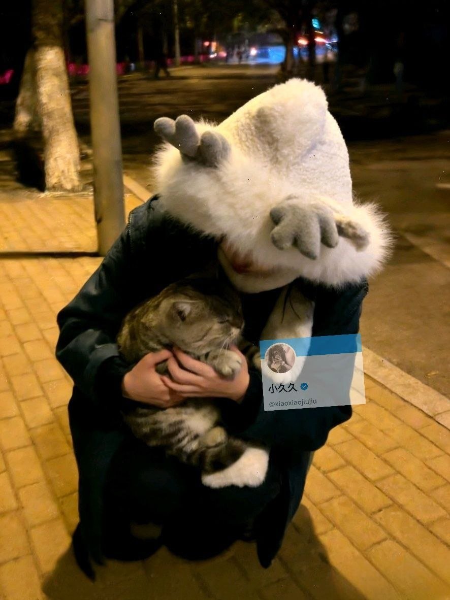天气好冷，每天回家的路上都会遇见冻的瑟瑟发抖的流浪狗流浪猫，真的好可怜😭

我本身自己养猫，看它这么冷还跟我玩躲猫猫游戏，看着真的不忍心，所以每天我会提前在买点好吃的，能喂一点是一点咯……

希望你们能熬过这个冬天，千万别冻死啊……😮‍💨😮‍💨 https://t.co/0tdXhqMaVh