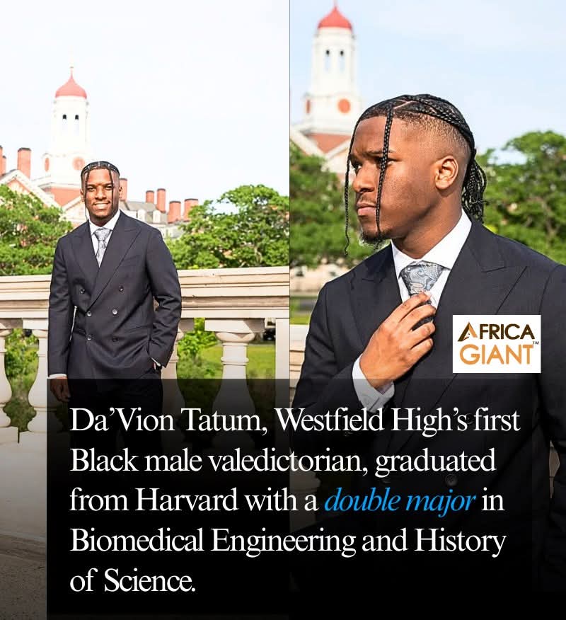 The Cake Lady tweet media