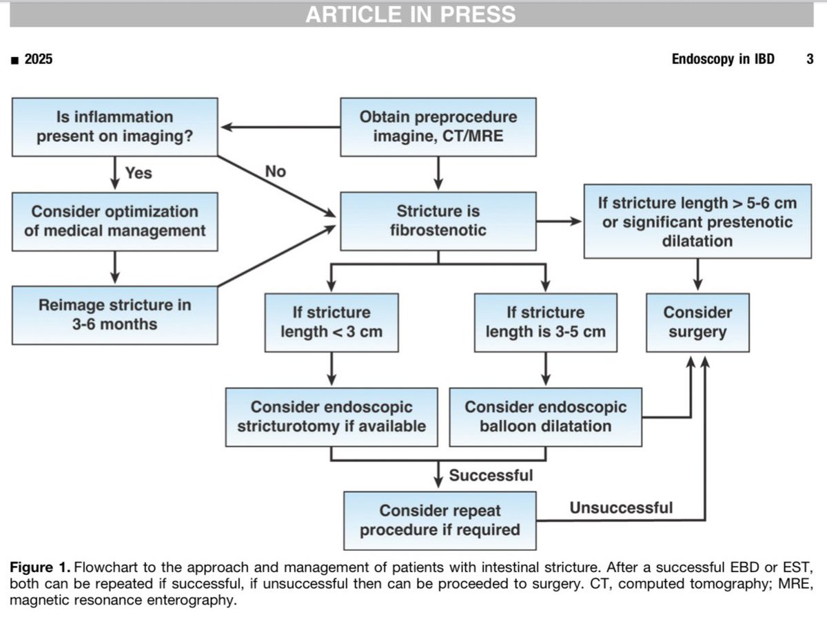Jana G Hashash, MD, MSc tweet media