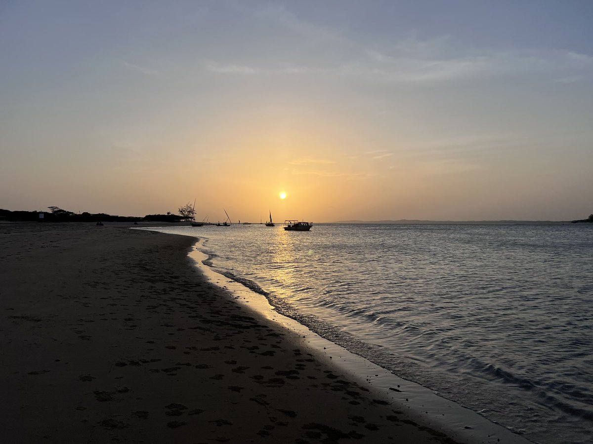 Brainiarc7's tweet image. Chasing sunsets at Majlis, Lamu. Core memories and Long Beach walks
