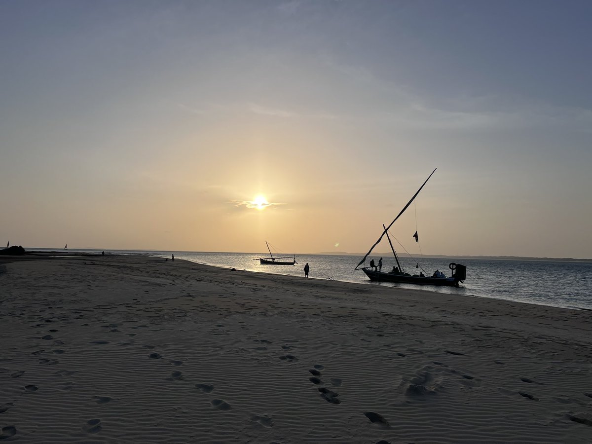 Brainiarc7's tweet image. Chasing sunsets at Majlis, Lamu. Core memories and Long Beach walks