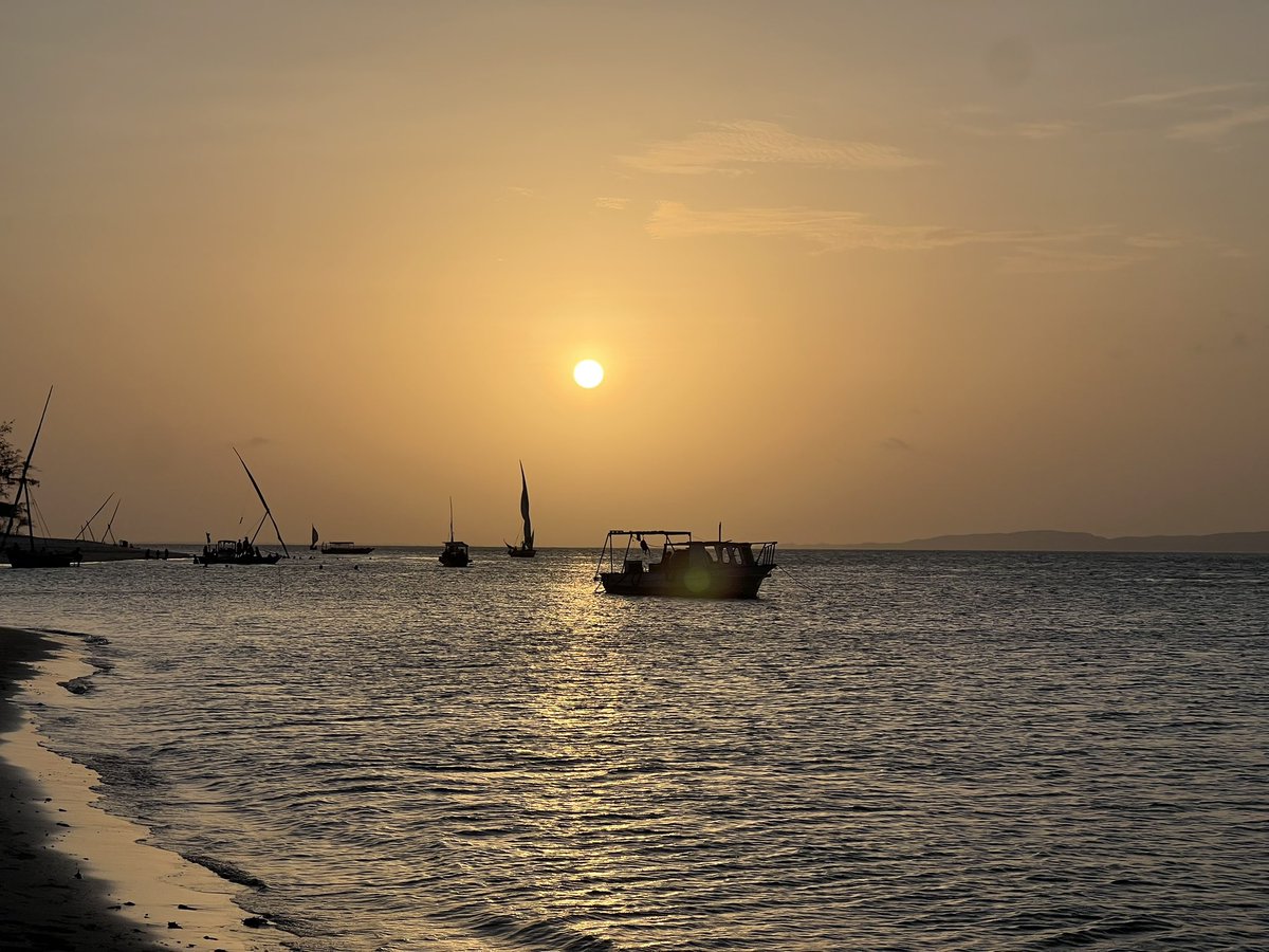 Brainiarc7's tweet image. Chasing sunsets at Majlis, Lamu. Core memories and Long Beach walks