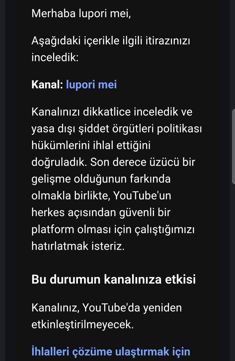 luporimei tweet media