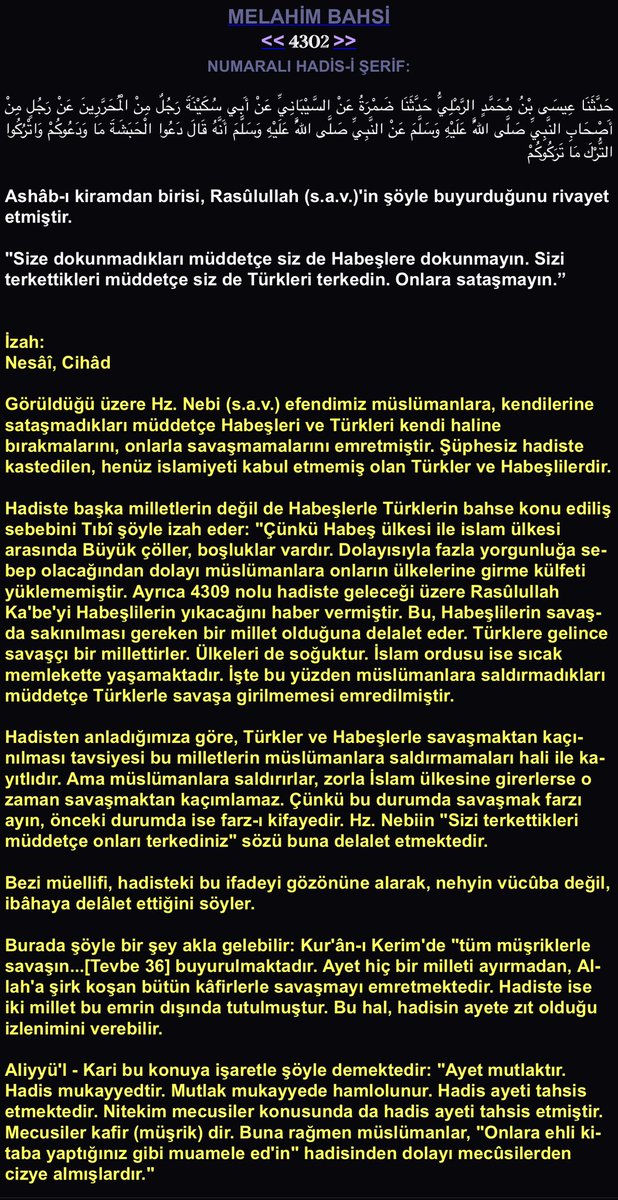 Afşîn et-Turkî tweet media