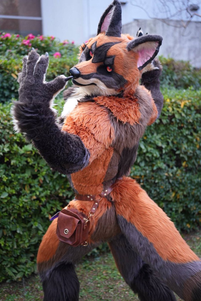 Sparrow🐦 ➡️Furstclass tweet media