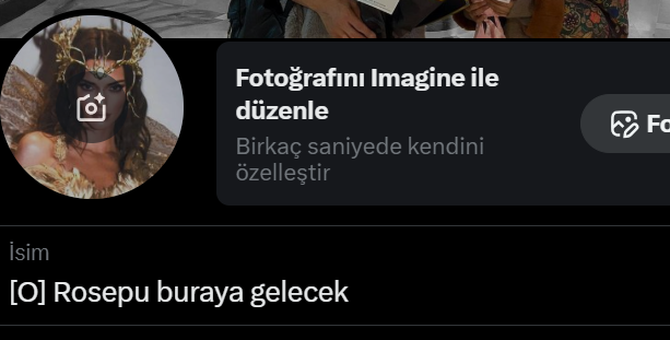 Nis🇹🇷🐺 tweet media