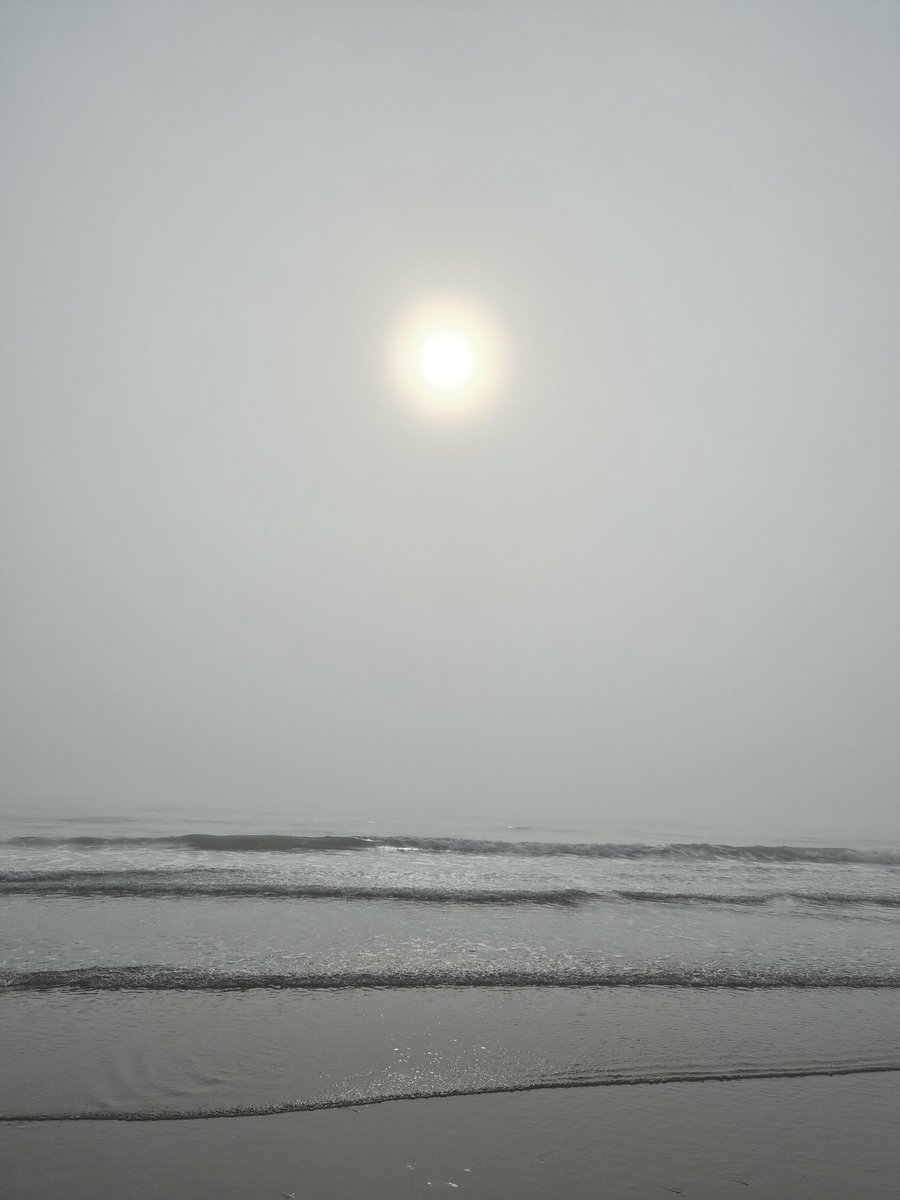 Daniel Williams tweet media