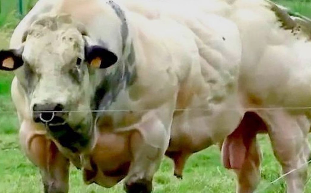 Timothy F. tweet media