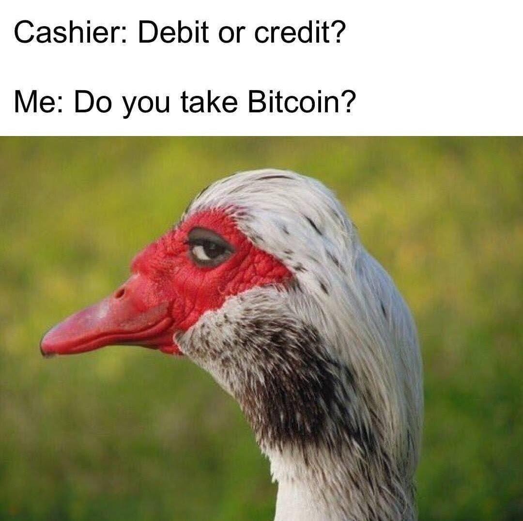 Bitcoin Breakdown ⚡ tweet media