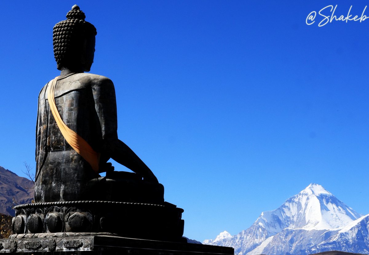 Shakeb Nabi tweet media