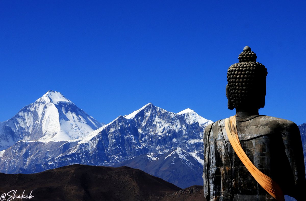 Shakeb Nabi tweet media