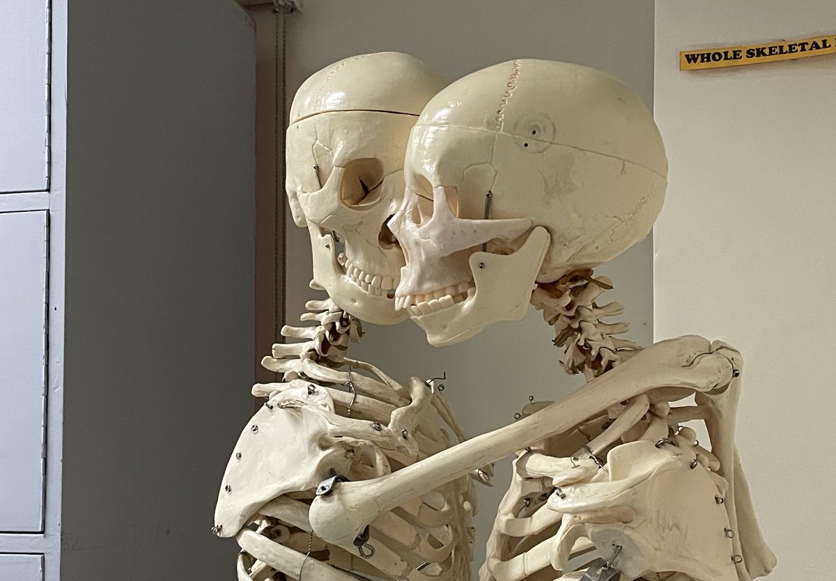 maakeoli's tweet image. new chapter ‧ moot hunt !
t. #studytwt #promotwt #moots 

⋆  19+  he / him 
⋆  bs physical therapy
⋆  student log motivation
⋆  flowers ‧ roblox ‧ frieren

like / rt to be moots.