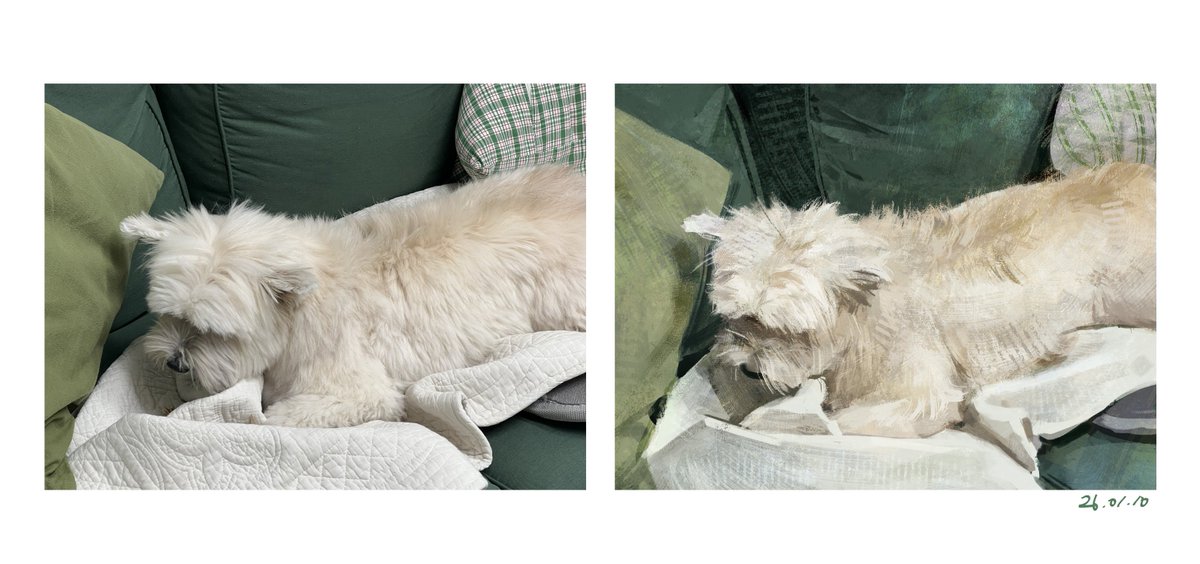 약사/유오✨ tweet media