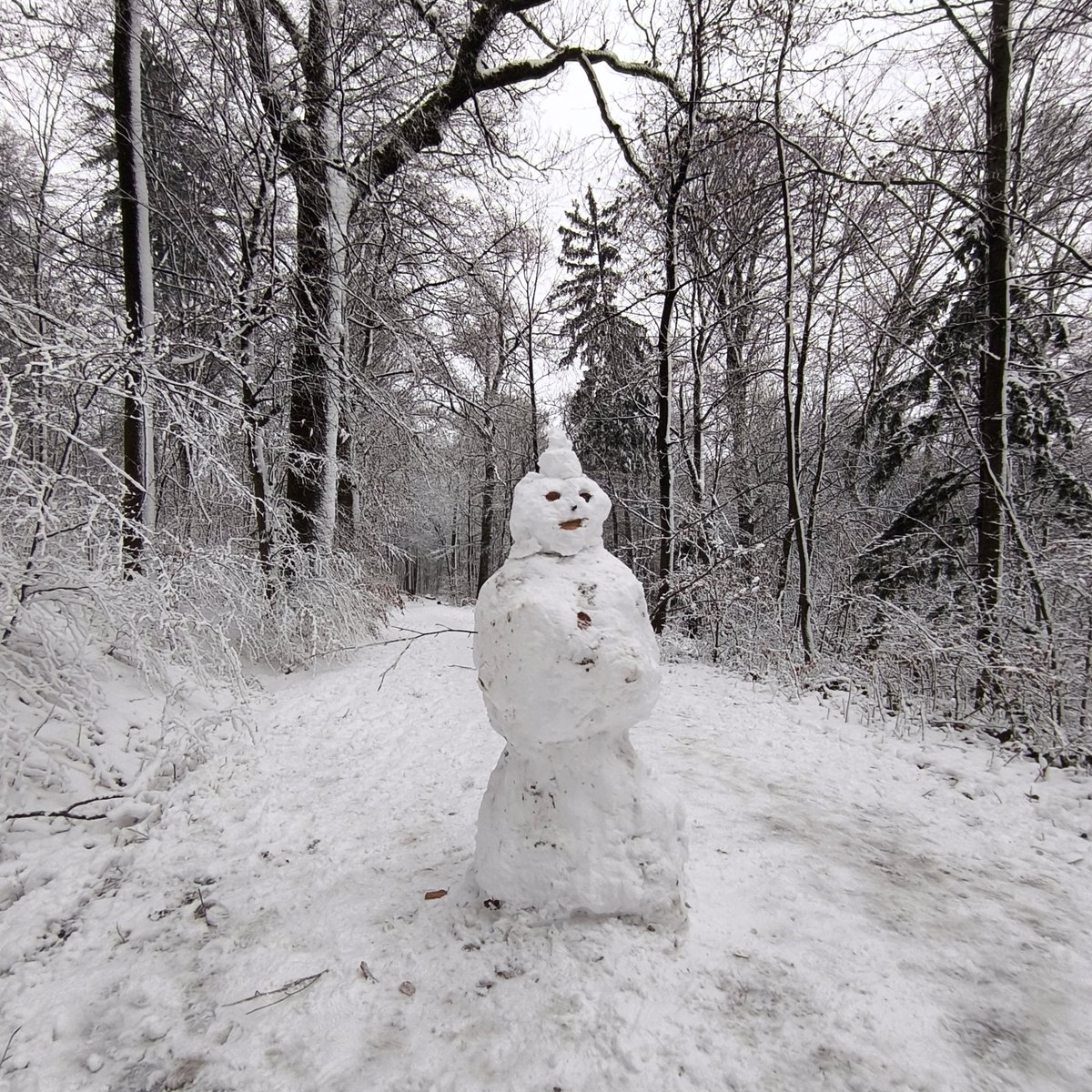 zureich37's tweet photo. the snow is back! ❄️
enjoyed a very peaceful run in the forest. ... encountered a slightly scary looking snow man. 😅
#running #runchat #recoveryrun #snowforest #snowman ⛄ https://t.co/Q5tTbR1Gpu