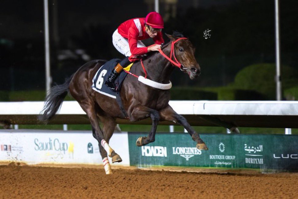 نتيجة الشوط الـ 8 الحفل ( 59 ) 
[ مفتوح الدرجات ]

الفائز:نديان 
المالك :الامير فيصل بن خالد بن عبدالعزيز
المدرب :سلمان العضياني
الخيال :ريكاردو فيريرا
المسافة :  1800 متر
الزمن:01:57:60

#مباري_الخيل
#موسم_سباقات_الرياض