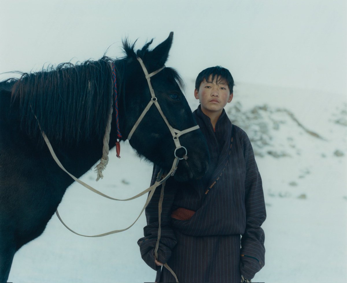 The Himālaya Dispatch tweet media