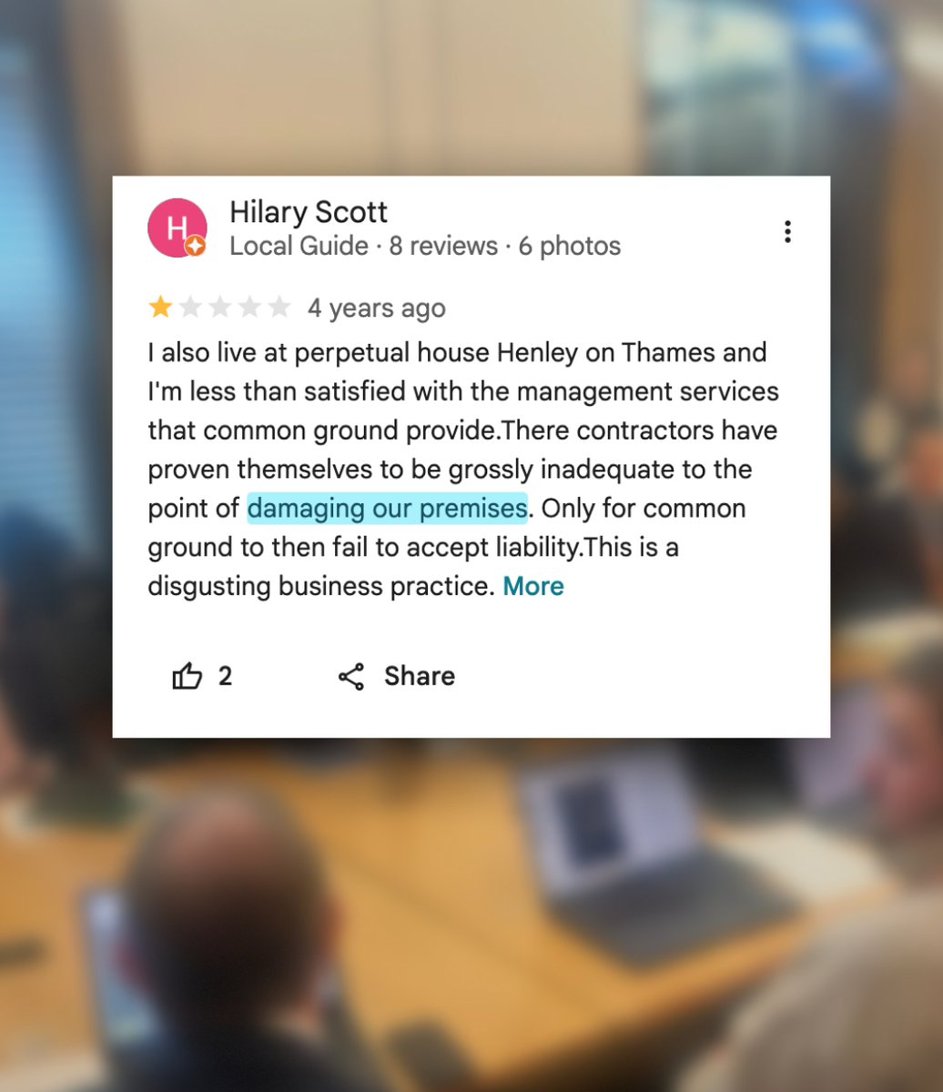 Lilly-Jo Cullen tweet media